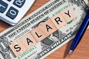 TRAINING ONLINE SET UP SALARY STRUCTURE