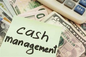 TRAINING ONLINE TREASURY MANAGEMENT AND CASH MANAGEMENT