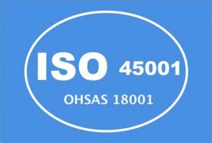 TRAINING ONLINE INTERNAL AUDIT OHSAS 18001