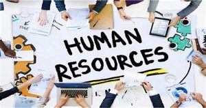 TRAINING ONLINE MARKET AND HUMAN RESOURCES