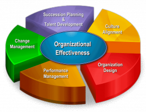 TRAINING ONLINE ORGANIZATION: DESIGNING EFFECTIVE ORGANIZATION