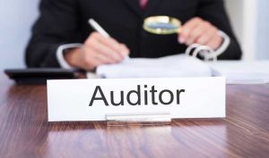 TRAINING ONLINE DASAR-DASAR AUDITOR