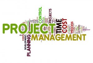 TRAINING ONLINE IT PROJECT MANAGEMENT