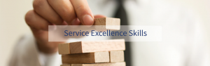 TRAINING ONLINE COMPREHENSIVE SERVICE EXCELLENCE SKILLS