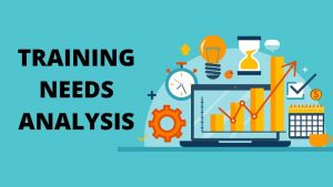 TRAINING ONLINE STRATEGIC TRAINING NEED ANALYSIS