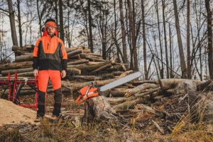 TRAINING ONLINE OPERATOR CHAINSAW