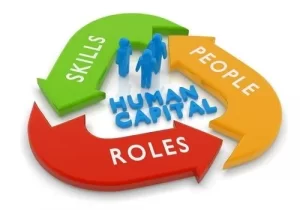 TRAINING ONLINE HUMAN CAPITAL MANAGEMENT AND DEVELOPMENT