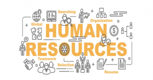 TRAINING ONLINE HUMAN RESOURCES INFORMATION SYSTEM (HRIS)