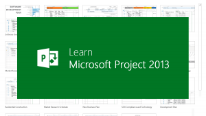 TRAINING ONLINE MASTERING MICROSOFT PROJECT 2013